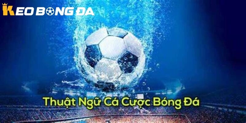 Các thuật ngữ chuyên sâu hơn trong cá độ bóng đá