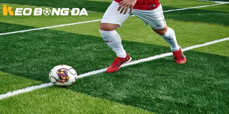 Tuyến phòng ngự của đội bóng